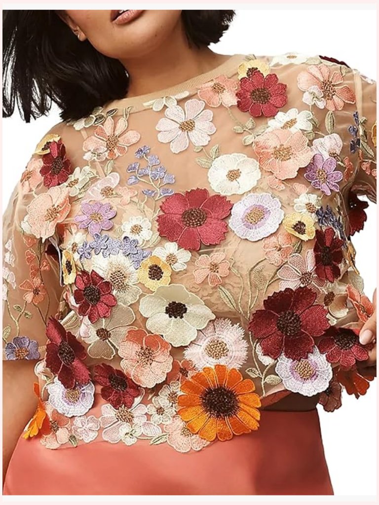 Embroidered 3d Floral Sheer Lace Short Sleeve Blouse